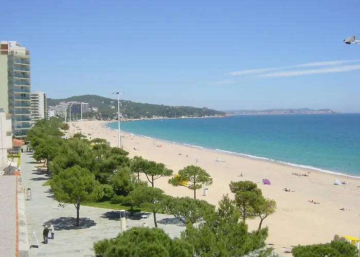 Hotel Aromar